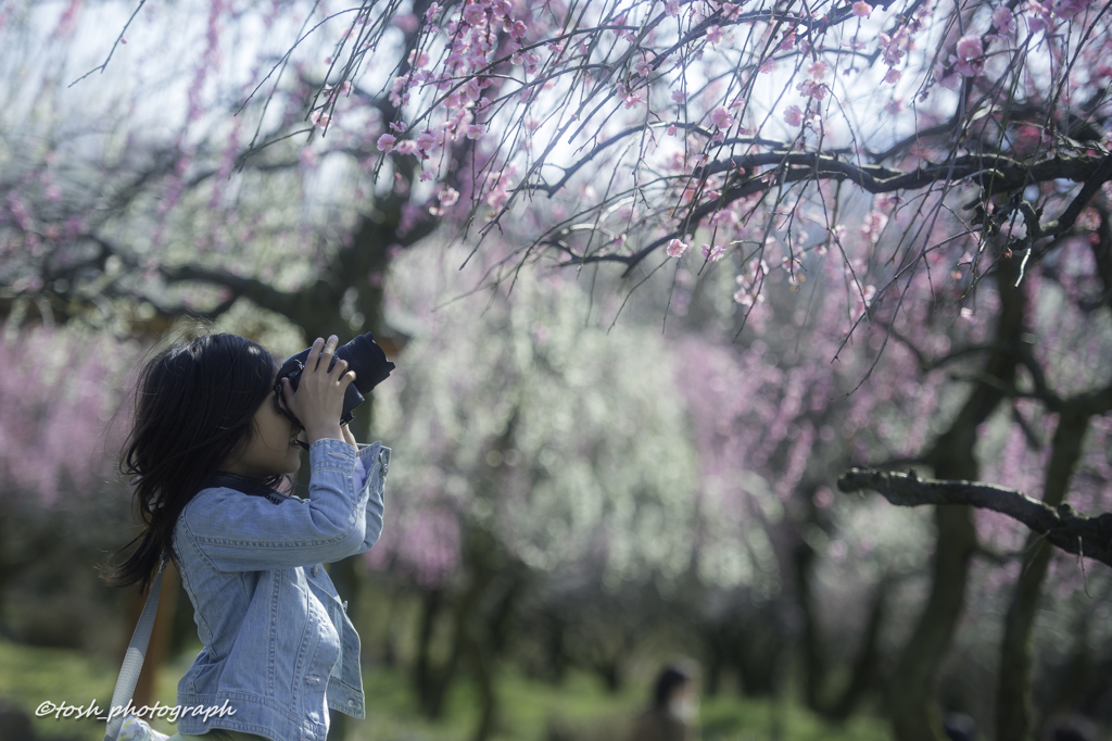 「春撮」