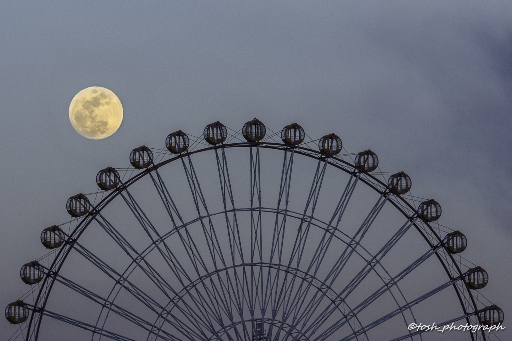 「moon wheel」