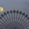 「moon wheel」