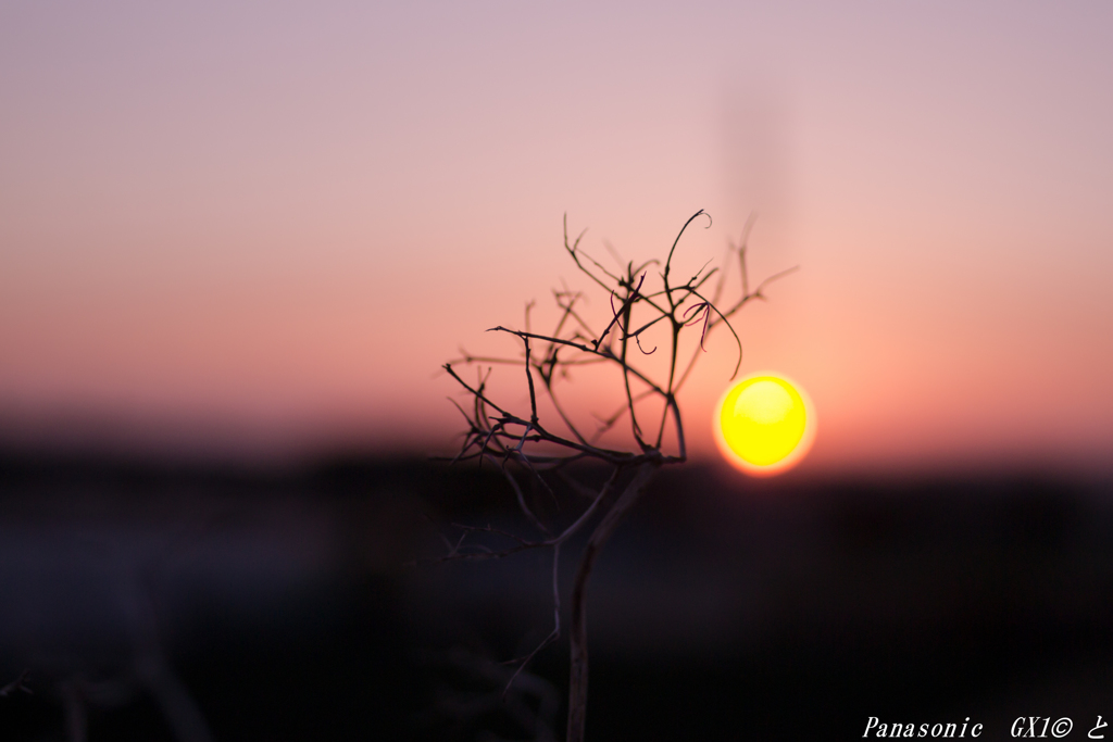 「佇・夕暮」