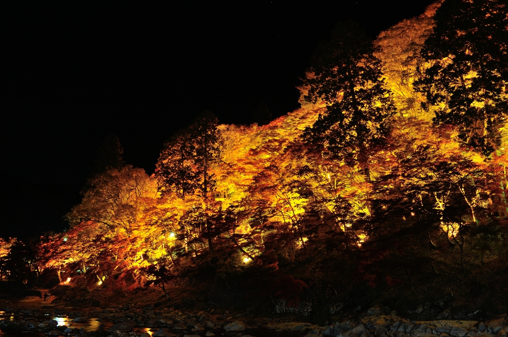 「香嵐渓11*燃葉」