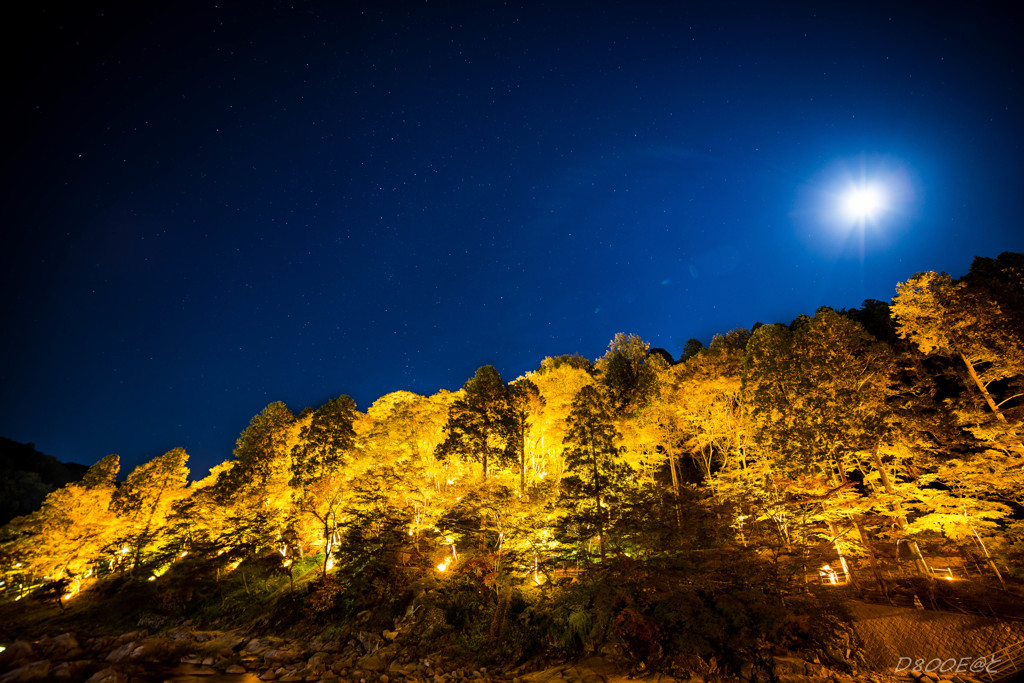 「星降る夜の月光フレア」