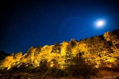 「星降る夜の月光フレア」