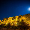 「星降る夜の月光フレア」