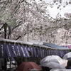「雨の露店街」