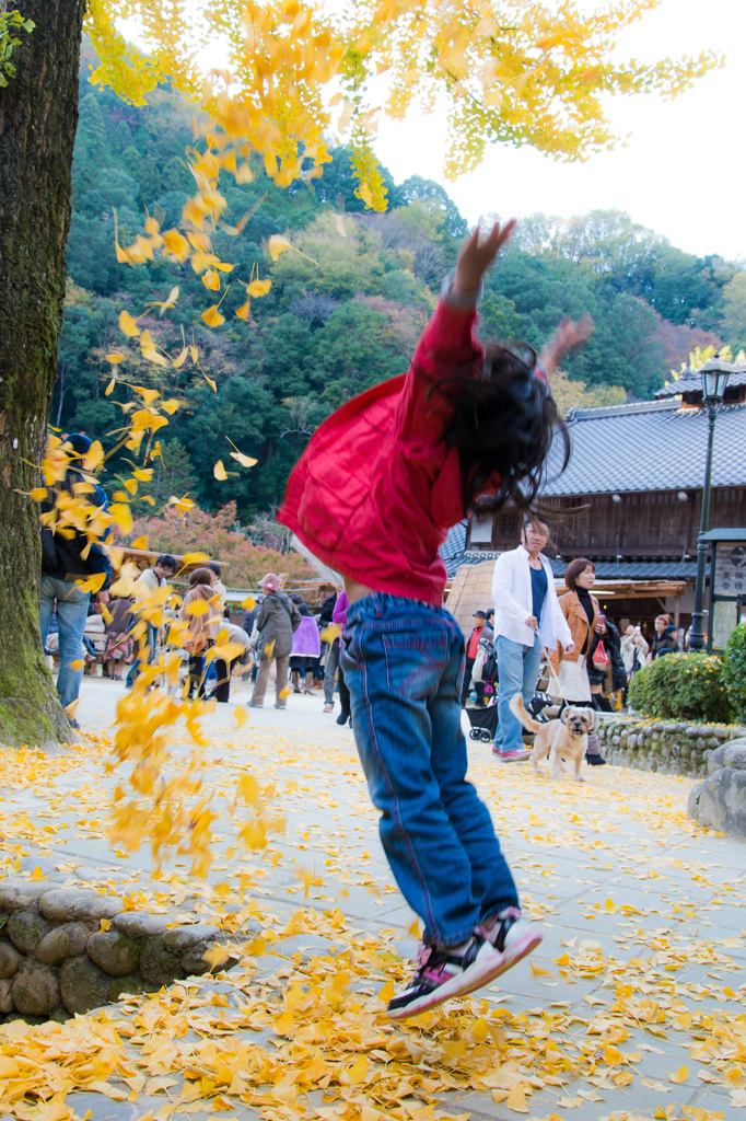 「銀杏遊び」