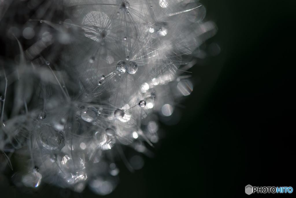 「drop」
