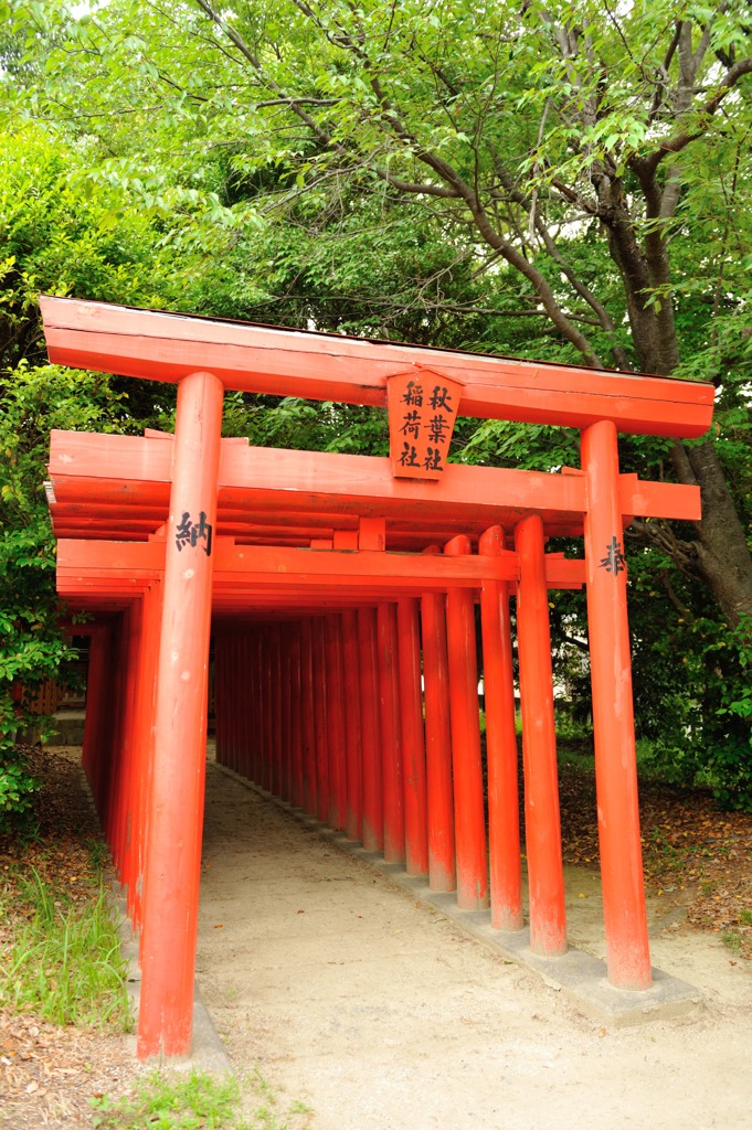 お稲荷さんのおわす