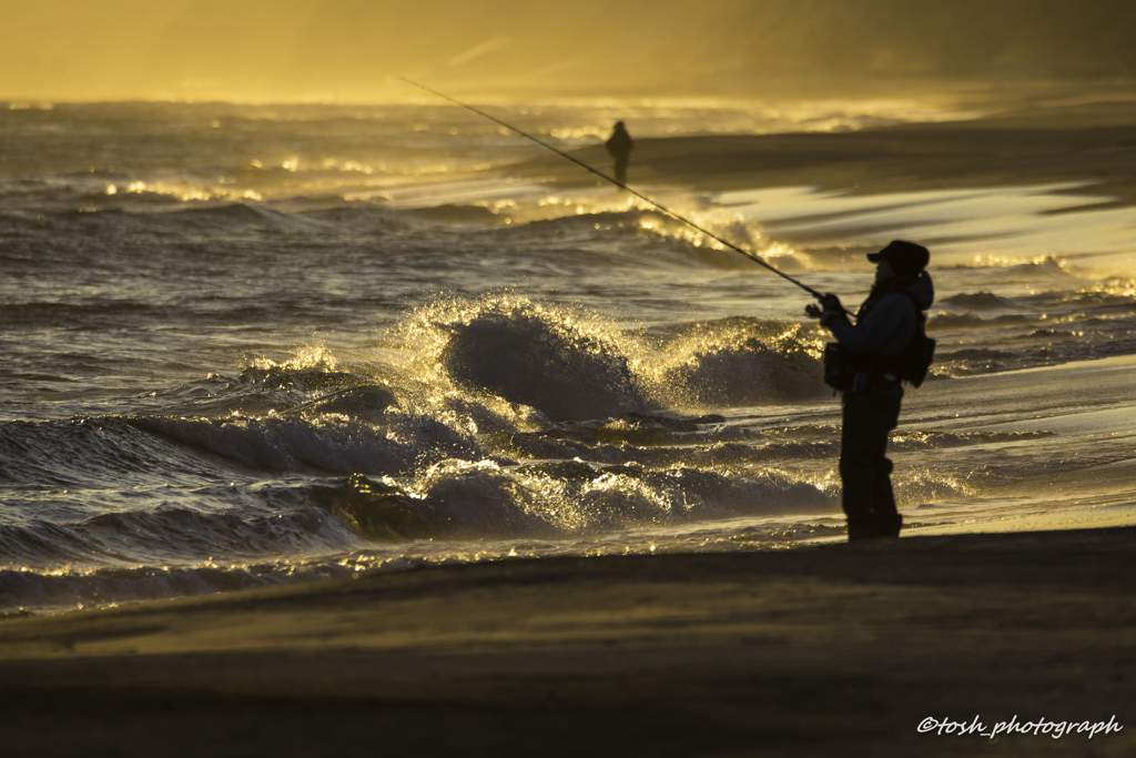 「sunset　angler」