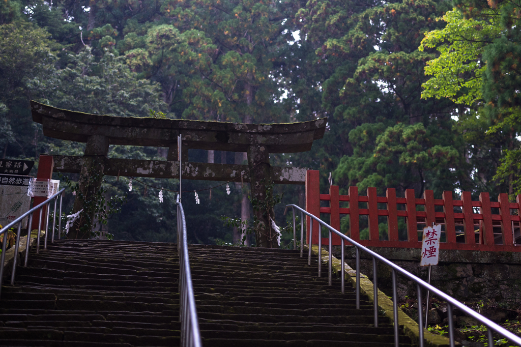 「鳳来山東照宮　鳥居」