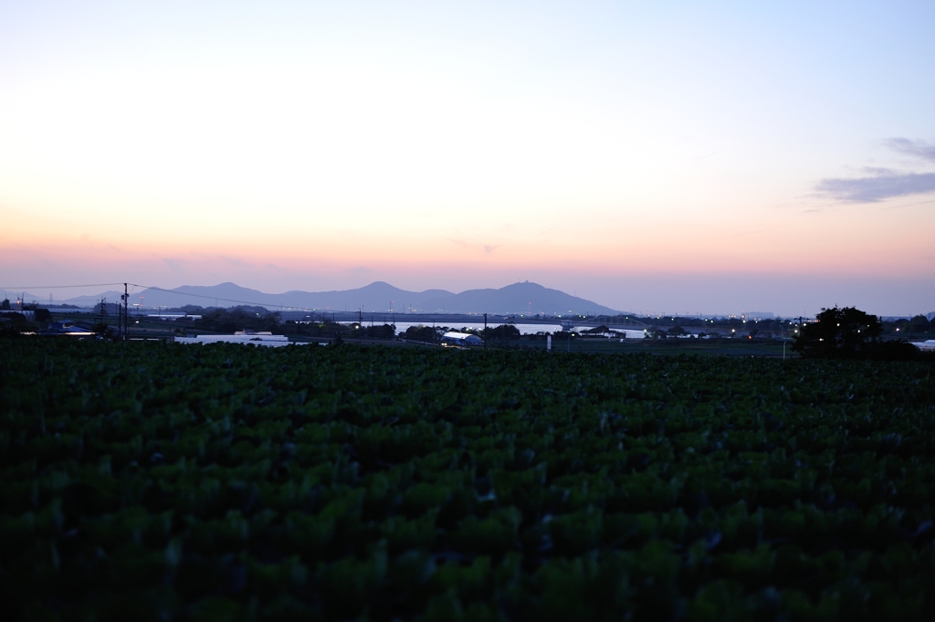 「朧、霞む、」