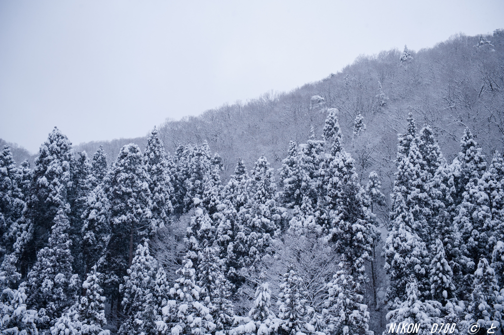 「僕にとっては珍しい雪景色に・・・」
