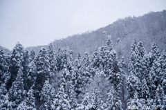 「僕にとっては珍しい雪景色に・・・」