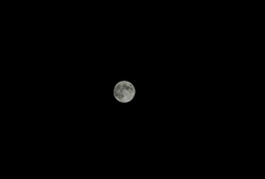 「お月様は見ている」