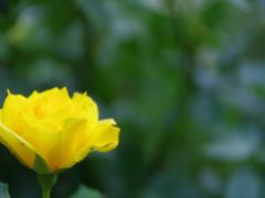 IMGP3099_R