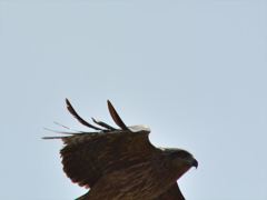 DSC_1434_R