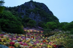 御船山楽園花まつり