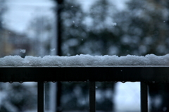 川崎市初雪