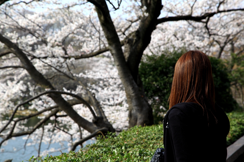 三ッ池公園