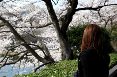 三ッ池公園
