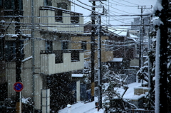 川崎市初雪