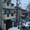 川崎市初雪