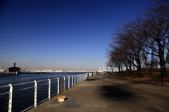 横浜