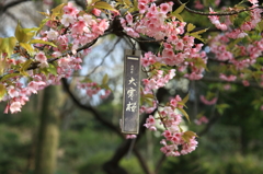 三ッ池公園