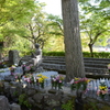 長谷寺