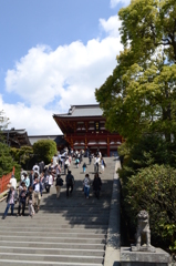鶴岡八幡宮 〜 大石段