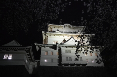 小田原城