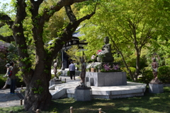 長谷寺