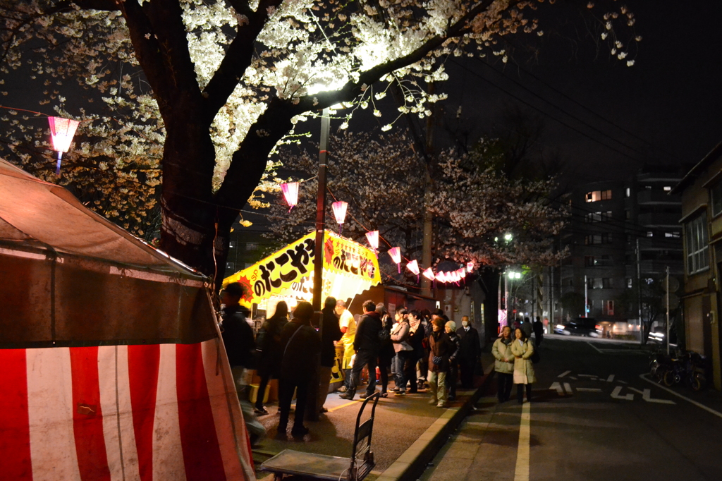 大岡川桜祭り～人気のたこ焼き屋