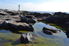 城ヶ島5