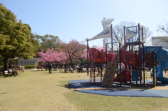 横浜公園