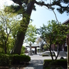 長谷寺