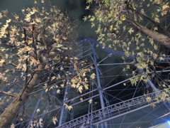 晩秋から冬へ