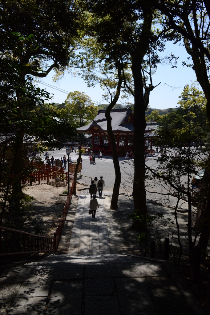 鶴岡八幡宮 〜 木陰より舞殿を望む