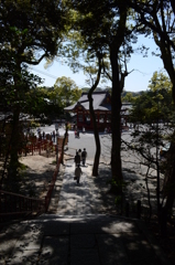 鶴岡八幡宮 〜 木陰より舞殿を望む