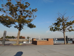 横浜１