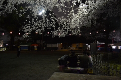 お花見家族