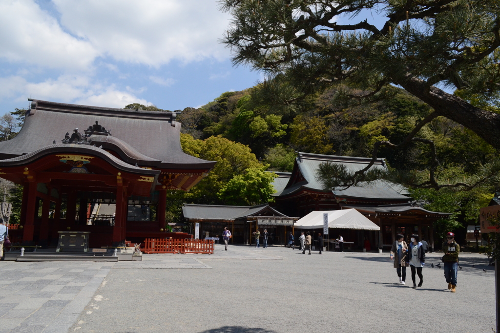 鶴岡八幡宮 〜 舞殿