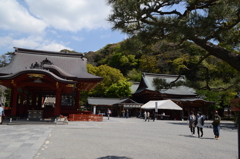 鶴岡八幡宮 〜 舞殿