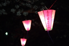 大岡川桜祭り～ぼんぼり
