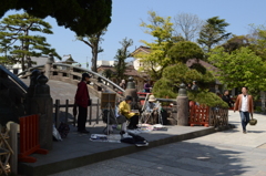 鶴岡八幡宮 〜 画伯