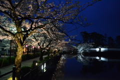 小田原城址公園