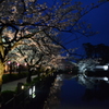 小田原城址公園