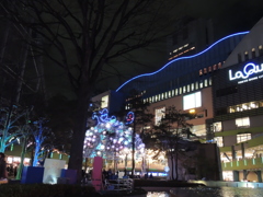 野球以外での輝き