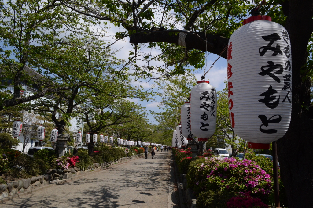 若宮大路 〜 鎌倉祭り