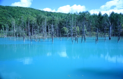 青い空と青い池